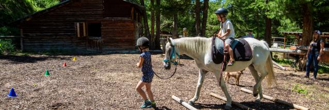 Poney dans le paddock du Ranch le Caribou